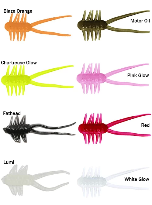 Clam Jamei 3 Clam Jamei