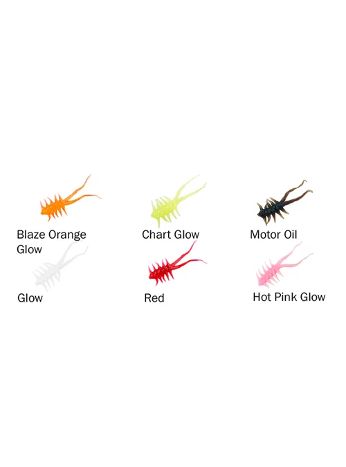 Clam Jamei XL 3 Clam Jamei XL