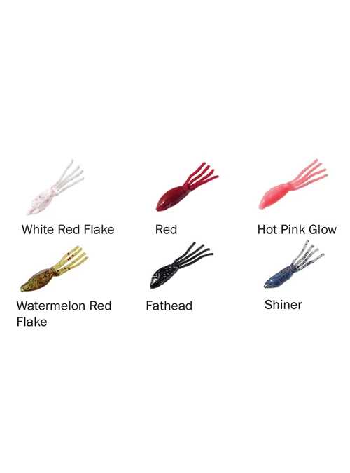 Clam Mino Head 3 Clam Mino Head